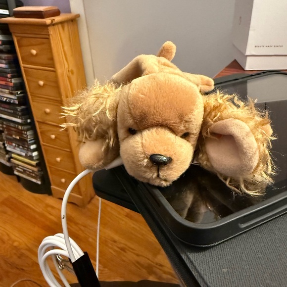Spunky TY Beanie Baby